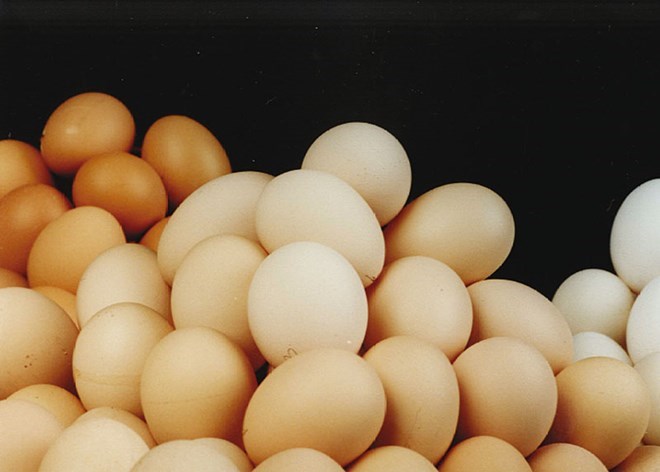 Canada tìm ra công nghệ phát hiện giới tính trứng gà trước khi ấp