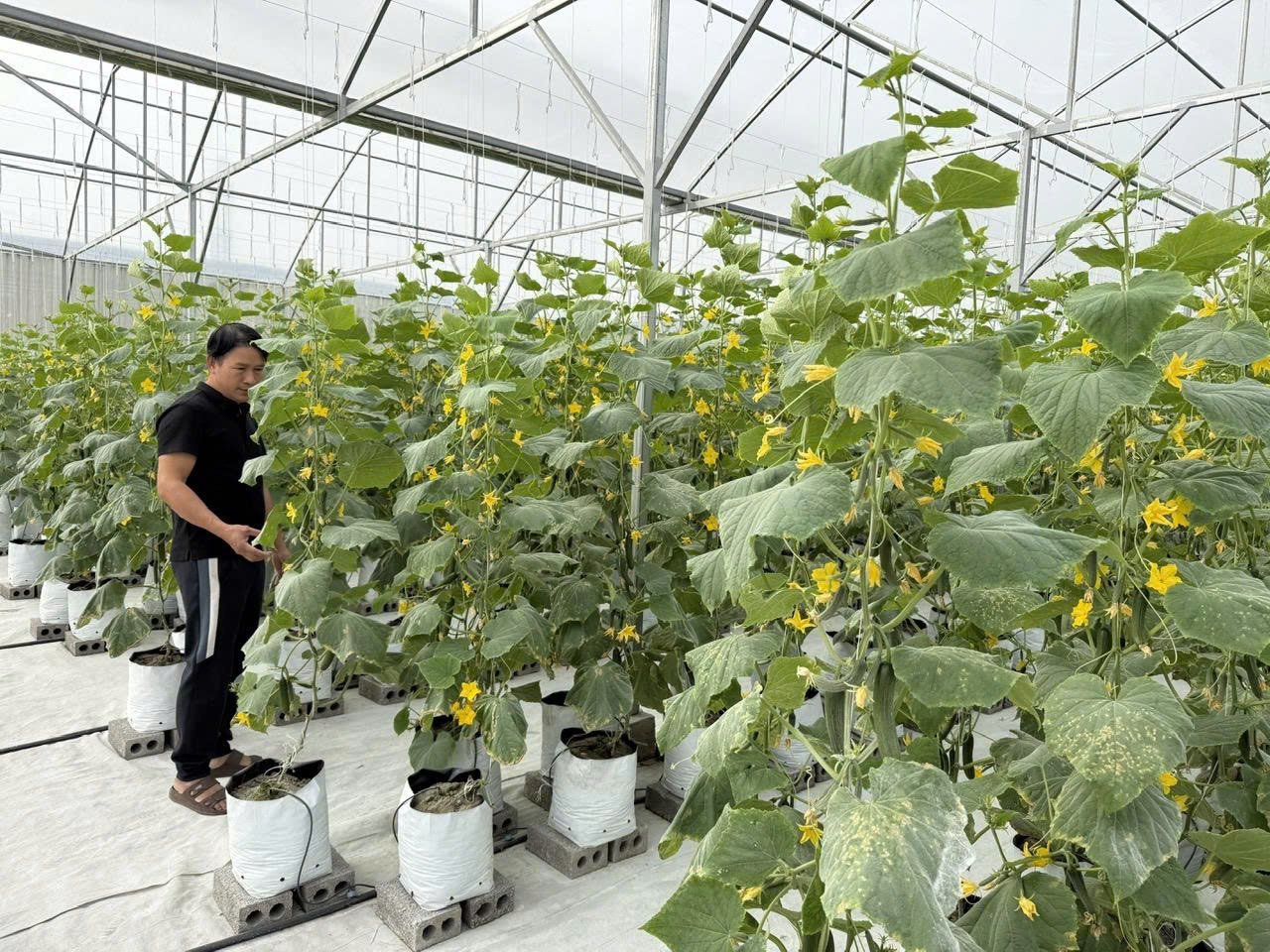 ‘Chìa khoá của hành trình xanh’