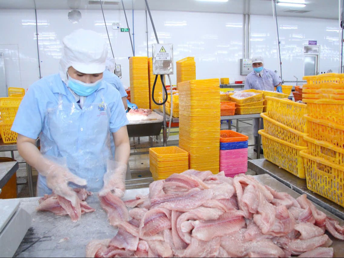 Dẫn vốn ngân hàng cho nông nghiệp - xuất khẩu ĐBSCL: Hiệu quả và giải pháp bứt phá bền vững năm 2026