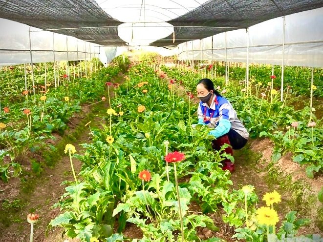 Hiệu quả thực hiện chương trình giảm nghèo bền vững tại tỉnh Ninh Bình