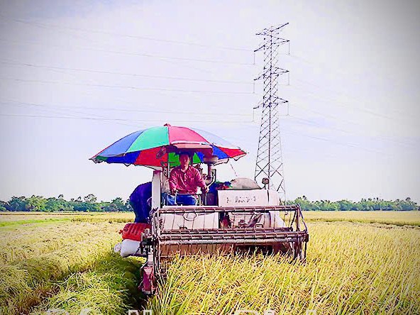 HTX Sản xuất kinh doanh dịch vụ nông nghiệp Hợp Hưng giảm hộ nghèo xuống dưới 1%