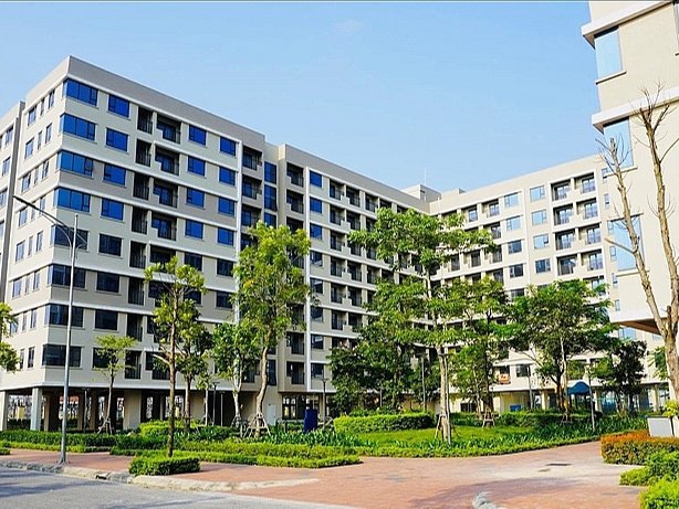 Mẫu Đơn đăng ký mua, thuê mua, thuê nhà ở xã hội