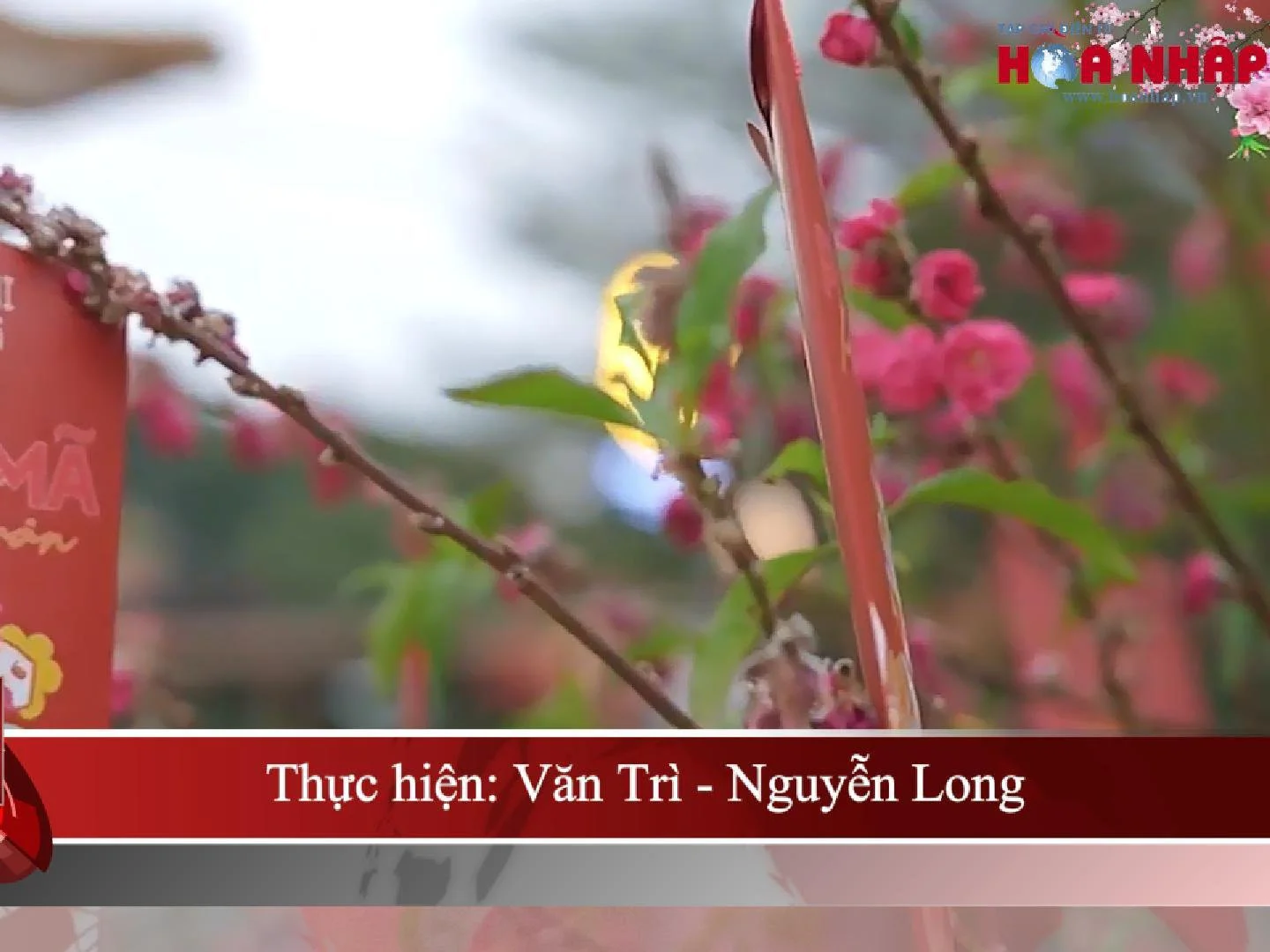 Mở cửa di sản - Lan toả tinh thần văn hoá lịch sử