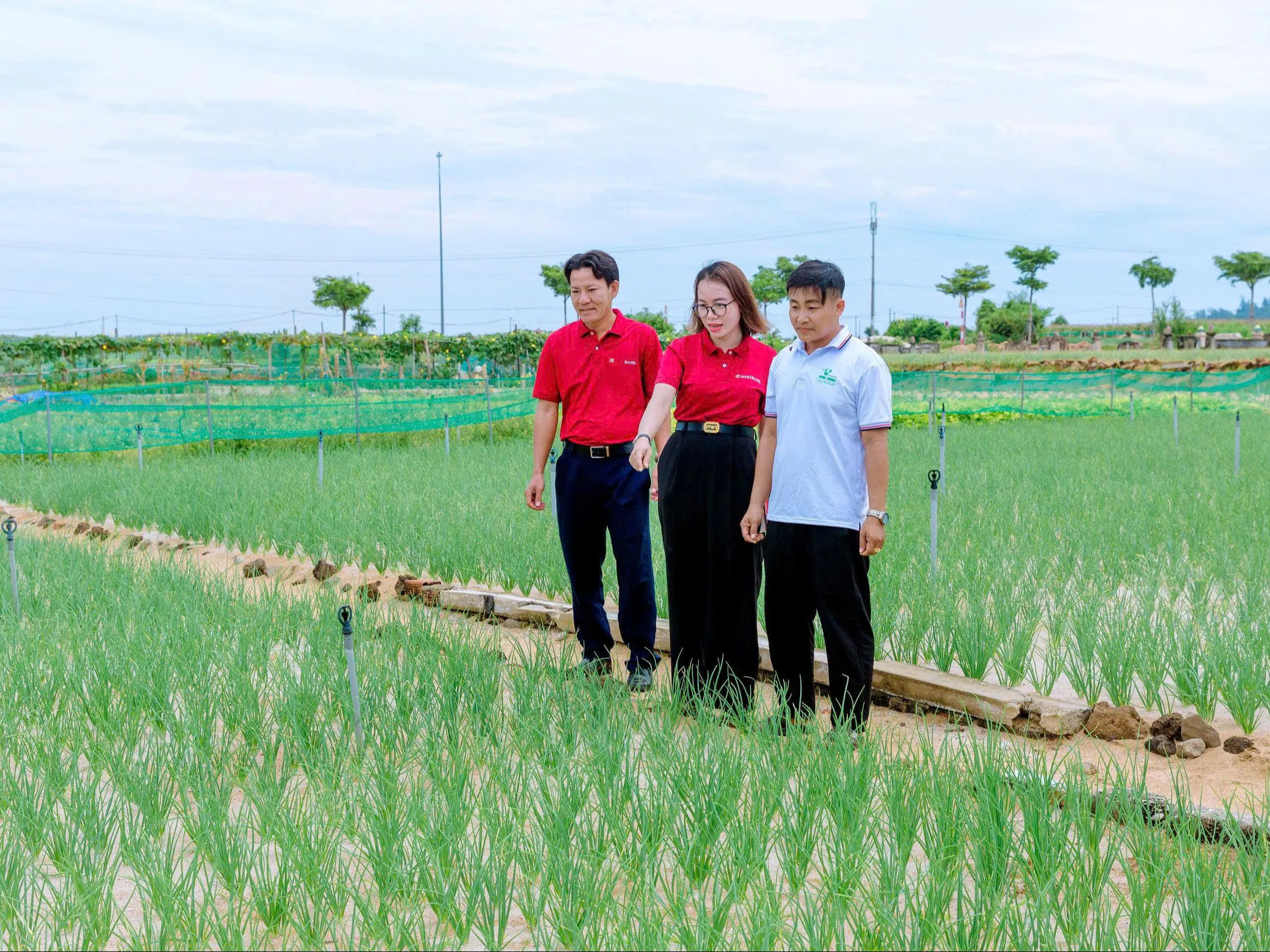 Mở van dòng vốn xanh: Góc nhìn từ Agribank về hệ sinh thái tài chính bền vững