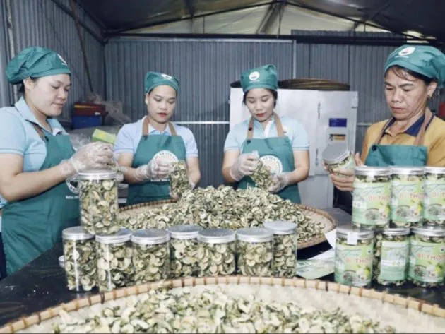 Nông nghiệp sinh thái xu hướng tiêu dùng