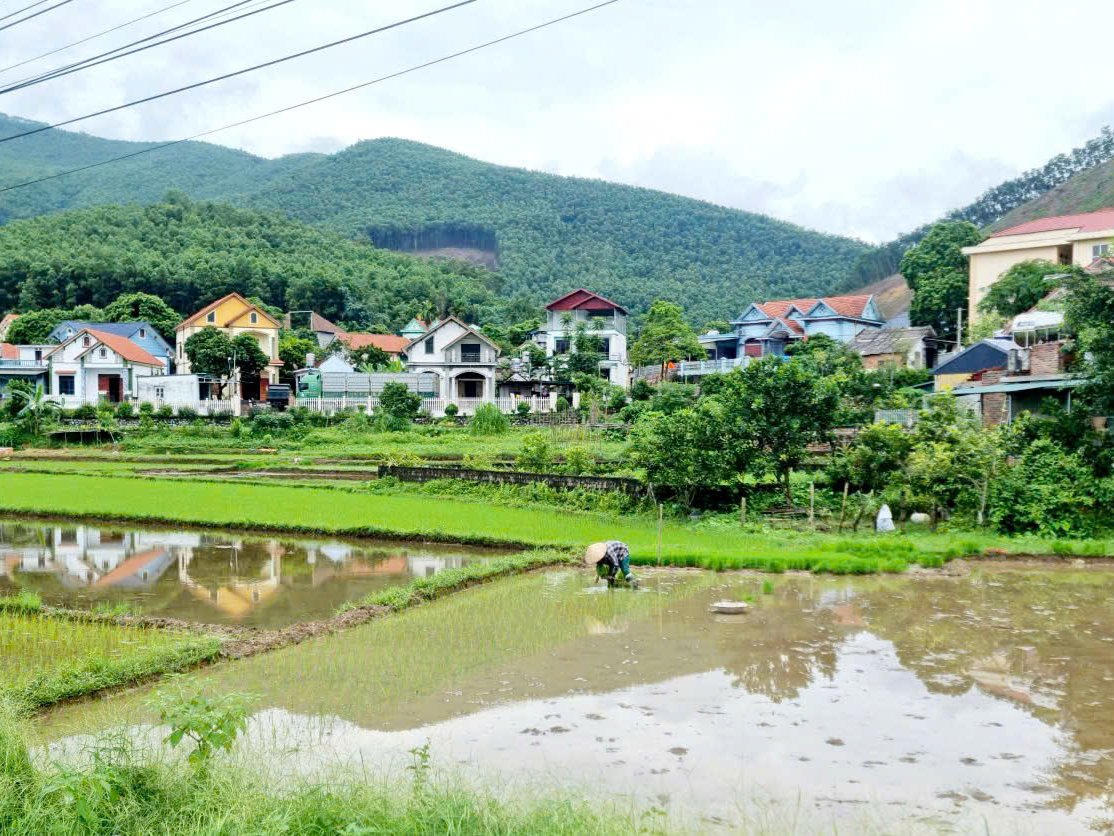 Quảng Ninh: Đảm bảo tiến độ sản xuất vụ Đông xuân 