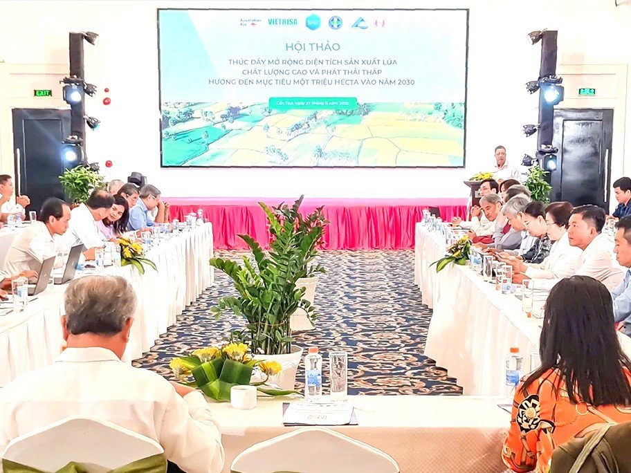 Tín dụng “điểm tựa” thúc đẩy mở rộng diện tích sản xuất lúa chất lượng cao và phát thải thấp