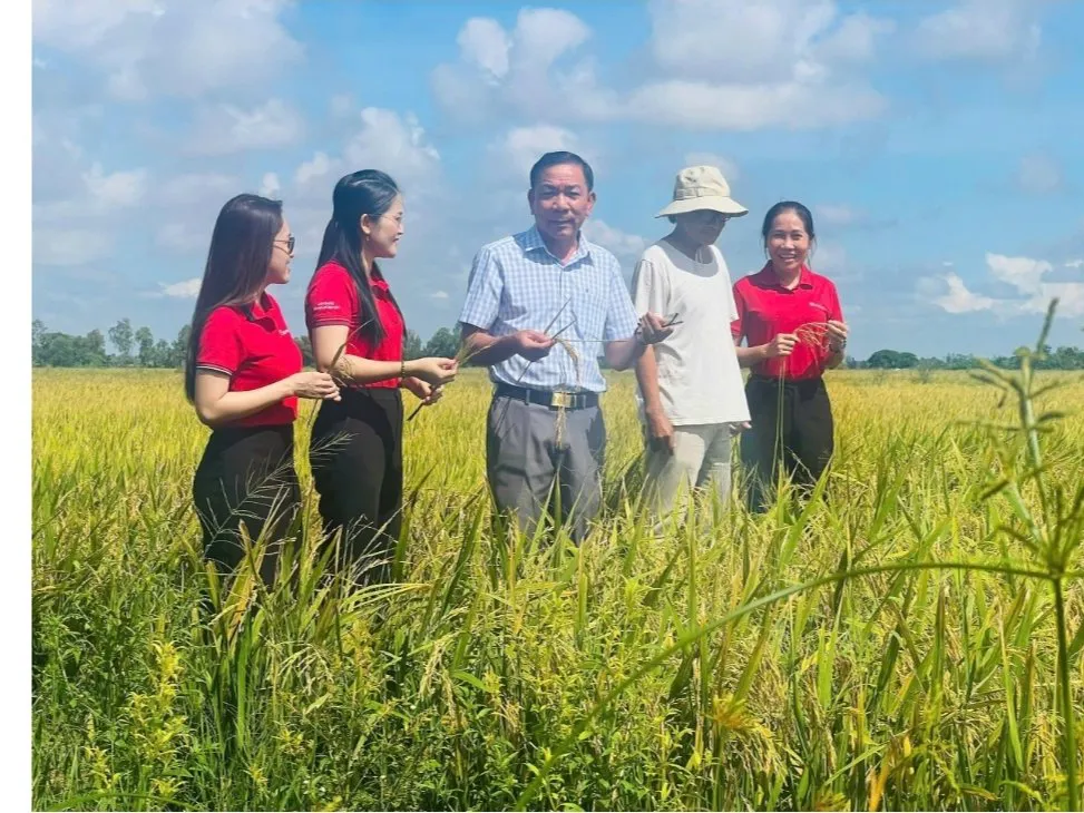 Tín dụng nông nghiệp nông thôn ĐBSCL – Bệ phóng thúc đẩy chuyển đổi kinh tế nông nghiệp vùng phát triển  