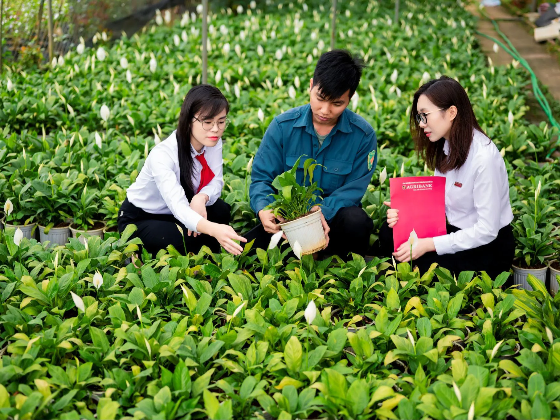 Từ dòng vốn đến dòng chảy số: Agribank góp phần kiến tạo diện mạo mới cho tài chính nông thôn