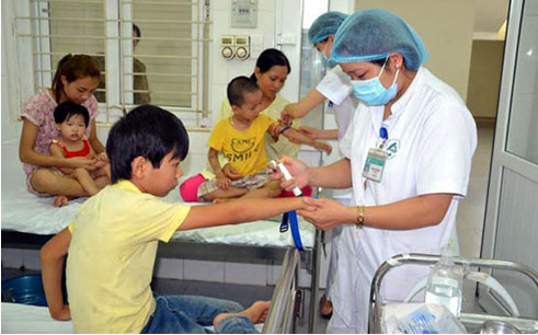 Xuất hiện ổ dịch viêm não Nhật Bản tại Lào Cai