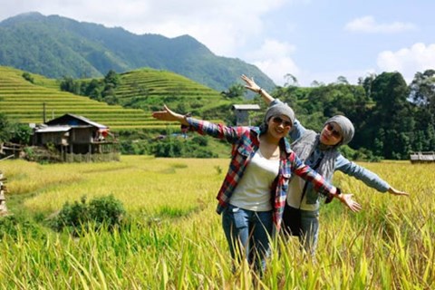 Không phải 'mùa vàng', du khách được chiều hết cỡ