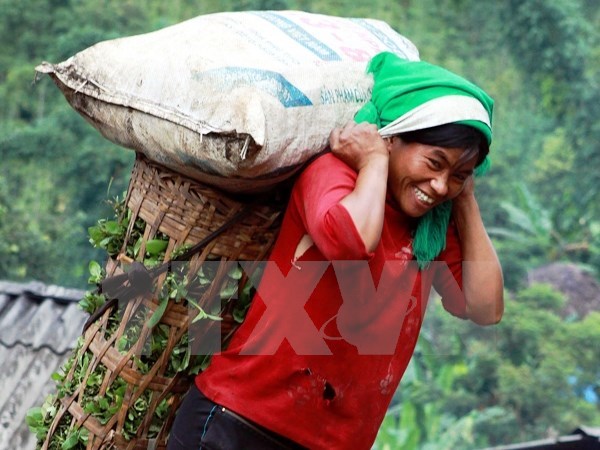 Phụ nữ Việt Nam đóng góp 110 triệu giờ làm việc không lương mỗi ngày