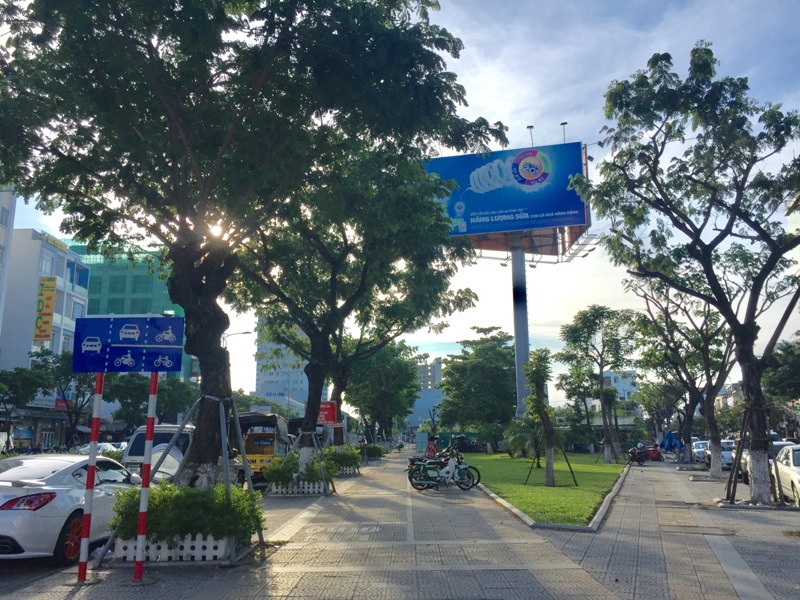 Đà Nẵng: Địa phương đầu tiên mua bảo hiểm cho cây xanh