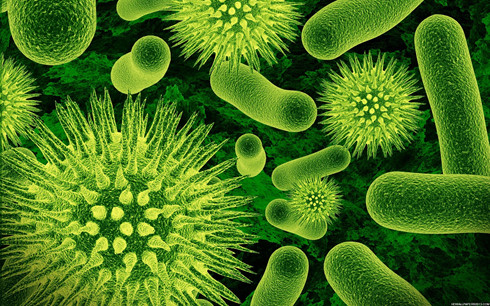 Phát hiện “siêu vi khuẩn” kháng hầu hết các loại kháng sinh