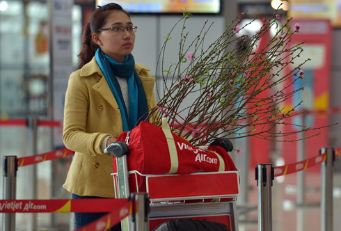 Các hãng hàng không bắt đầu nhận vận chuyển đào, mai dịp Tết Nguyên đán