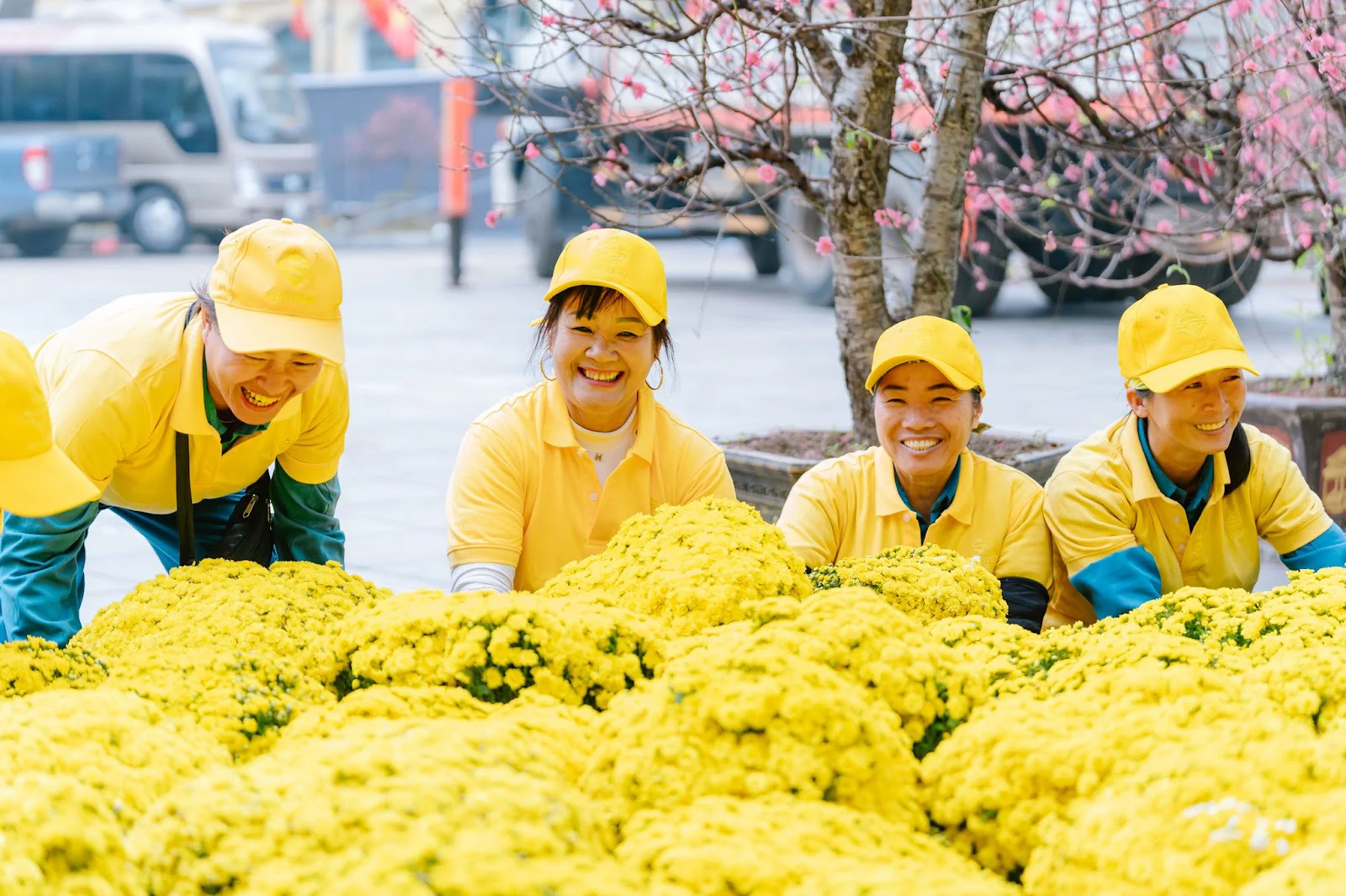 Sun Group dành tặng Hà Nội không gian hoa xuân rực rỡ tại khu vực tượng đài Lý Thái Tổ