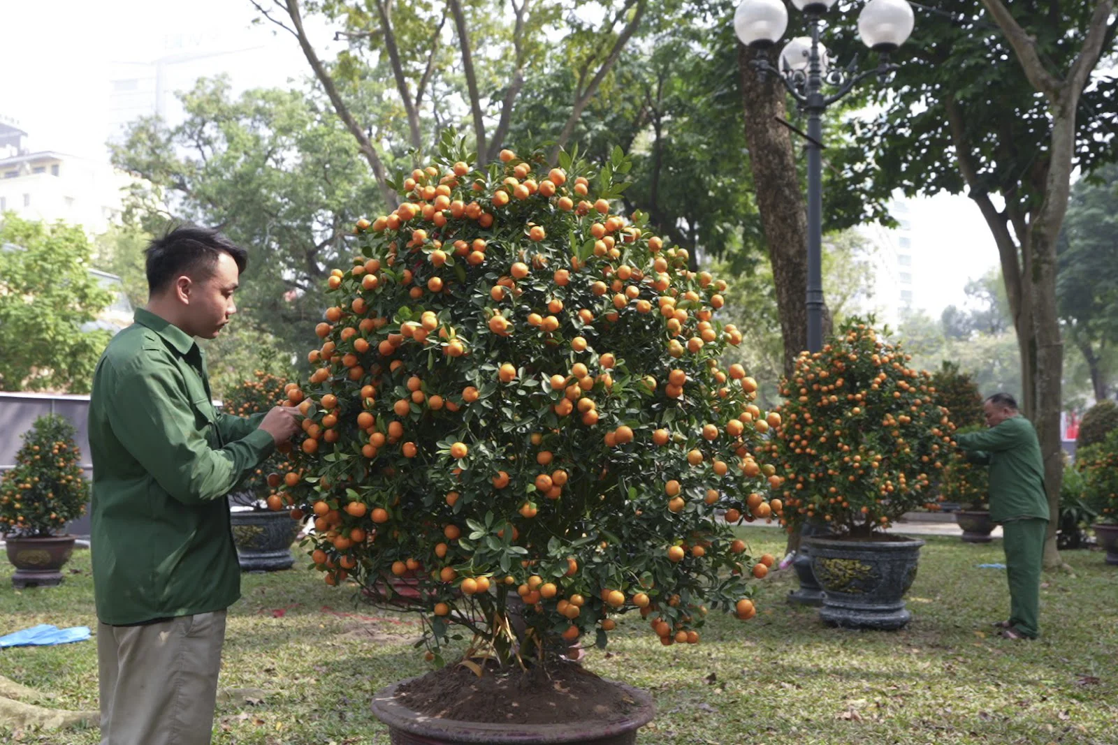 Sun Group dành tặng Hà Nội không gian hoa xuân rực rỡ tại khu vực tượng đài Lý Thái Tổ