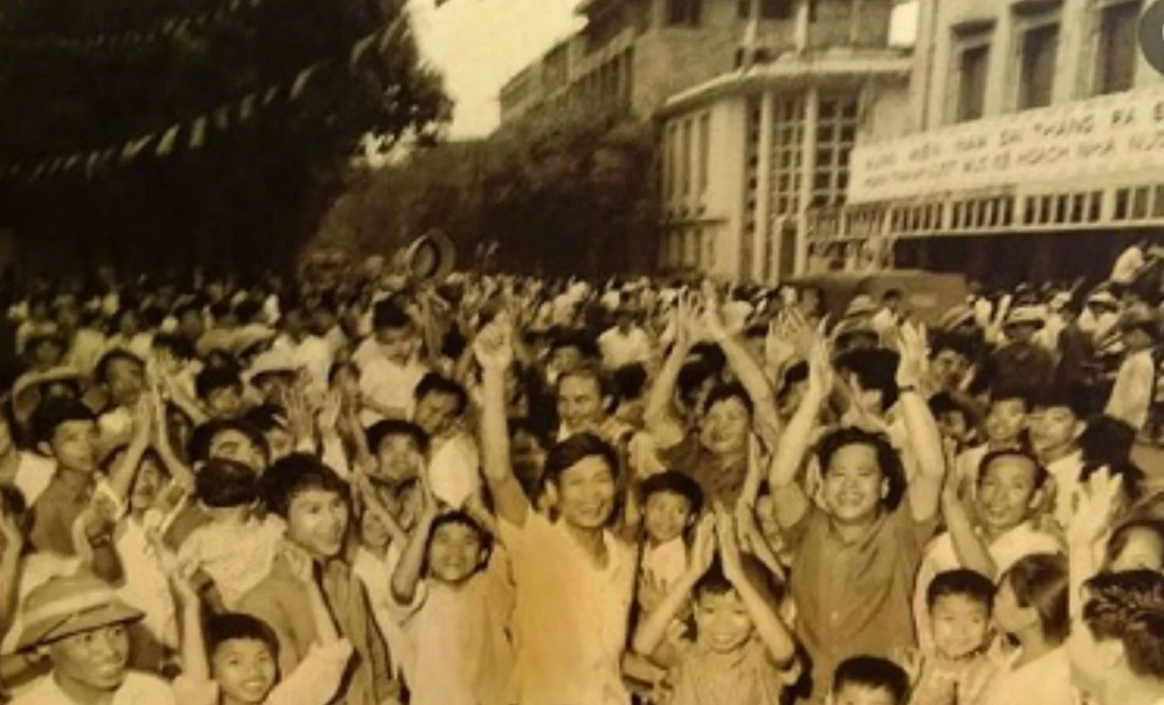 Hoa dầu và tiếng ve