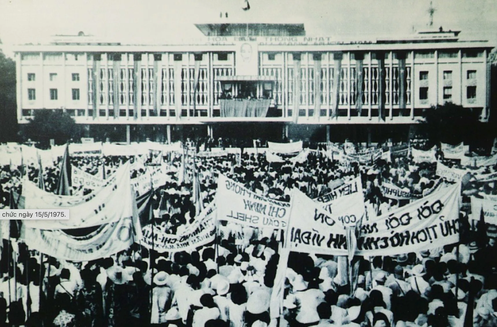 Hoa dầu và tiếng ve