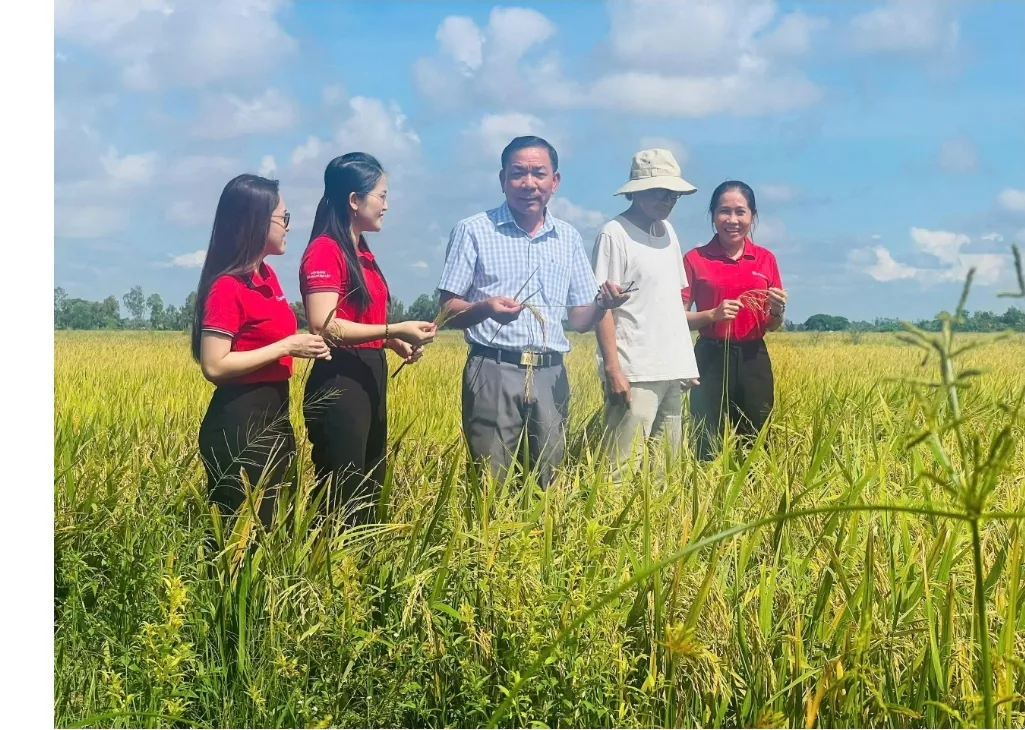 Tín dụng nông nghiệp nông thôn ĐBSCL – Bệ phóng thúc đẩy chuyển đổi kinh tế nông nghiệp vùng phát triển