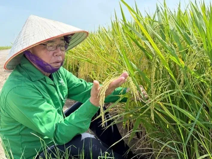 Quan niệm về sự sướng - khổ của thương binh Trần Mạnh Báo