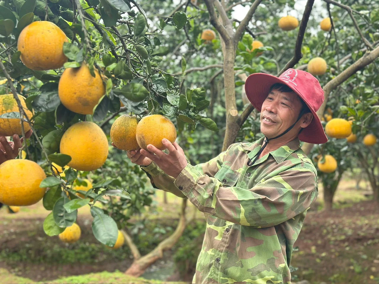 Chuyện kể về những lần Bác Hồ ghé thăm Ninh Bình