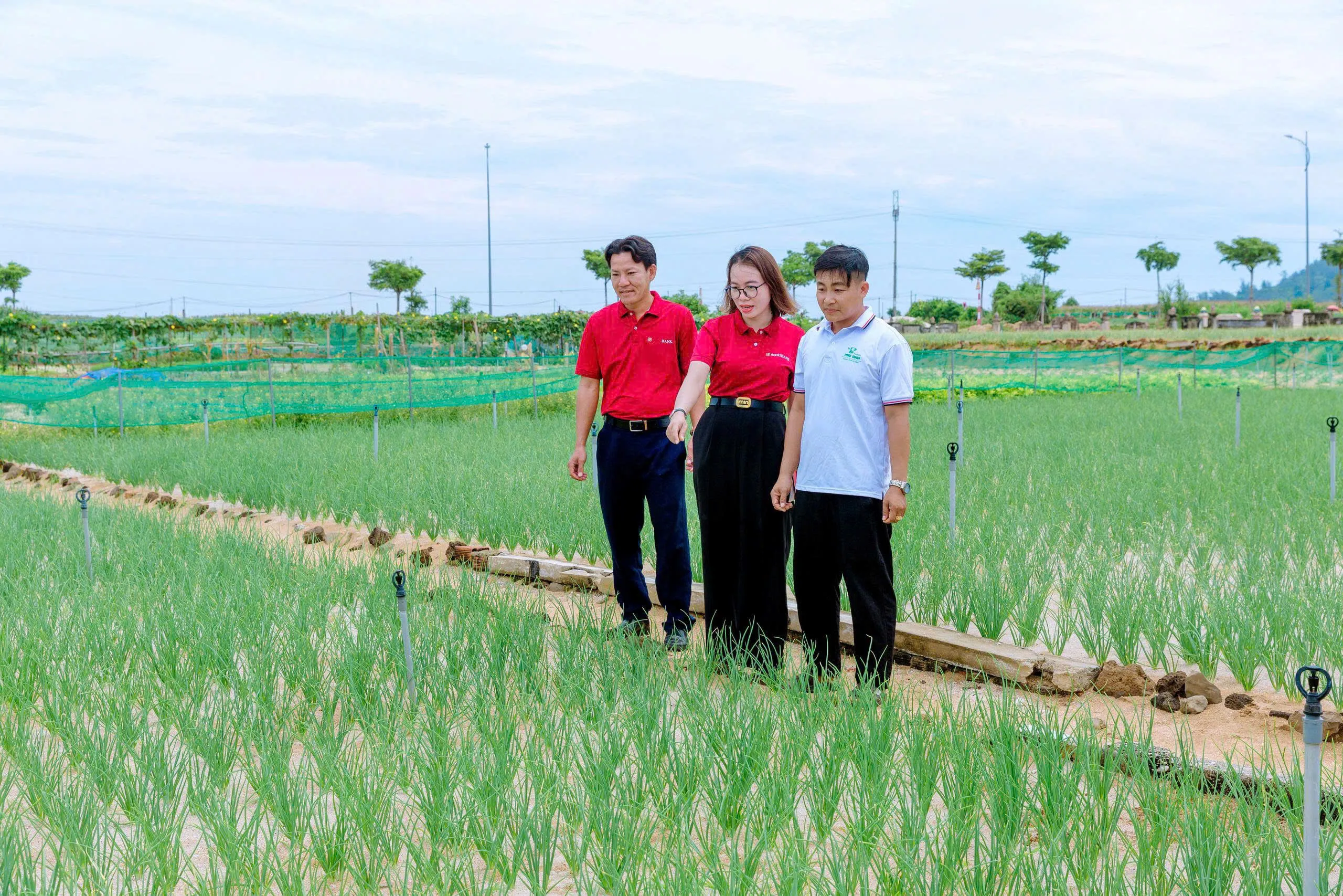 Mở van dòng vốn xanh: Góc nhìn từ Agribank về hệ sinh thái tài chính bền vững