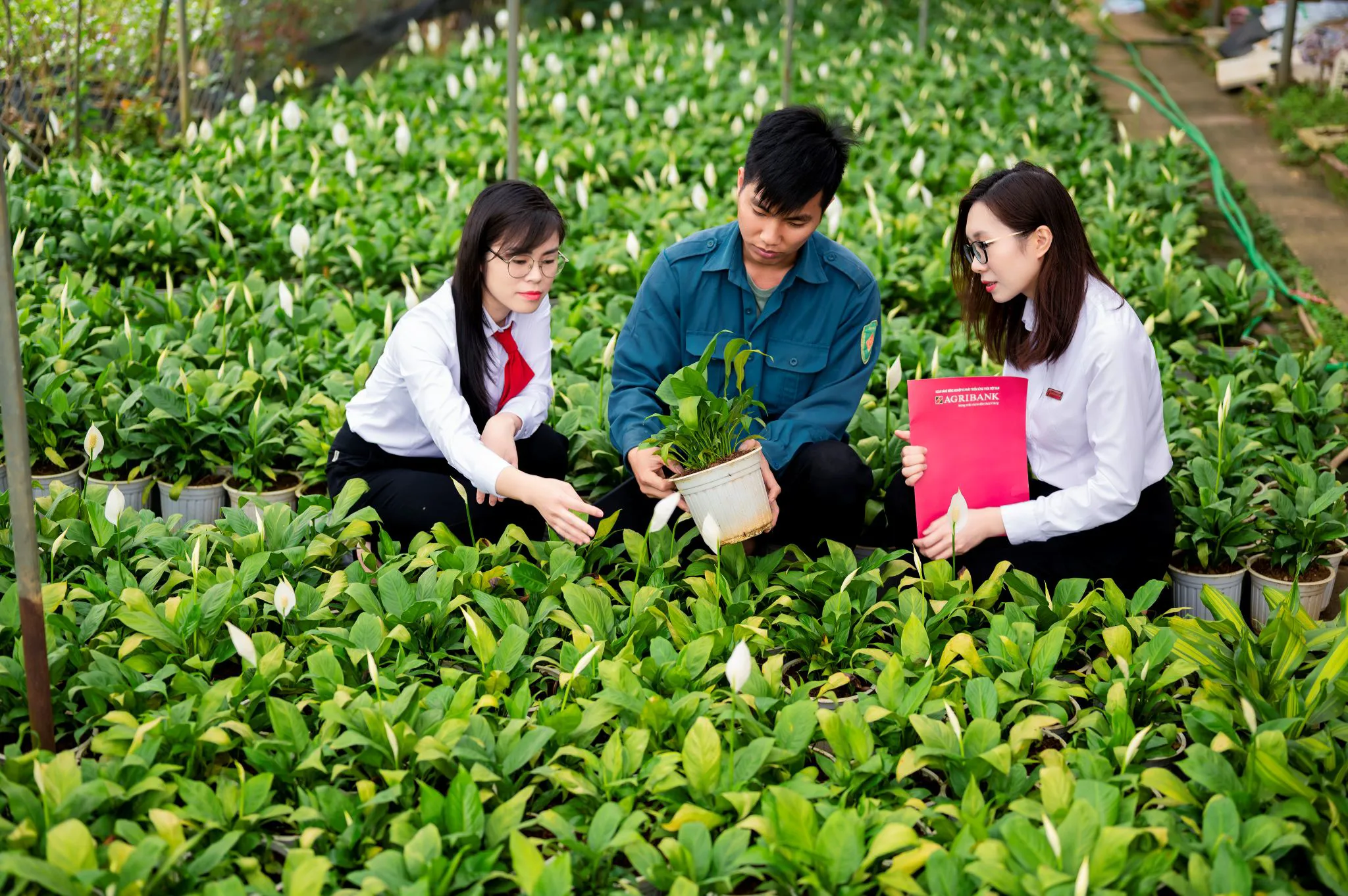 Từ dòng vốn đến dòng chảy số: Agribank góp phần kiến tạo diện mạo mới cho tài chính nông thôn