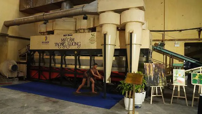 UNESCO vinh danh thương hiệu DOIDEP: Người vun đắp hành trình di sản trà việt