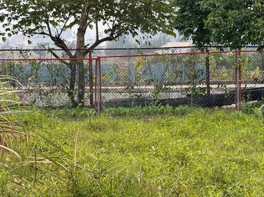 Vân Đồn: Nên xử lý dứt điểm vụ tranh chấp đất đai kéo dài trên 10 năm giữa ông Nguyễn Văn Cảnh và ông Trương Tiến Quý