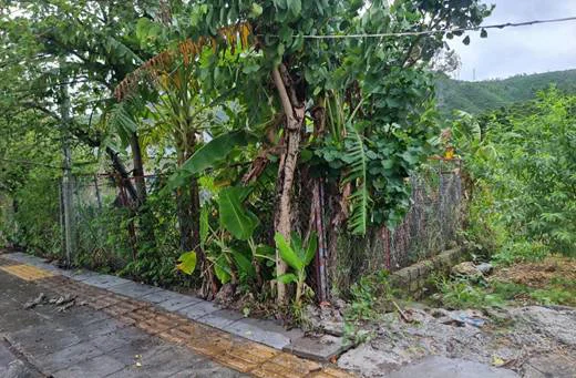 Vân Đồn: Nên xử lý dứt điểm vụ tranh chấp đất đai kéo dài trên 10 năm giữa ông Nguyễn Văn Cảnh và ông Trương Tiến Quý