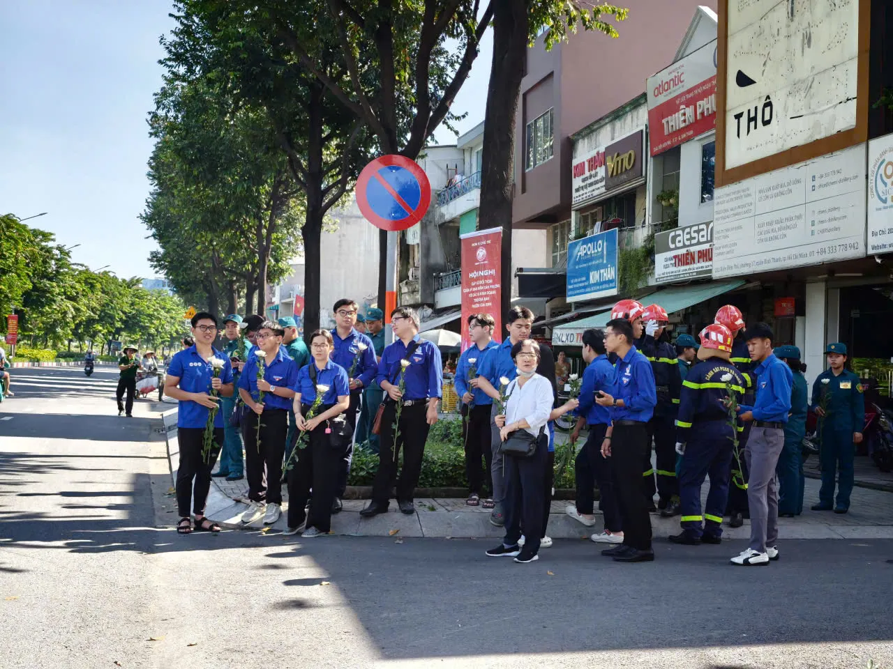 Nhành hoa trắng bên đường