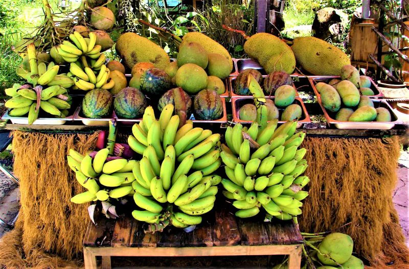 Khánh Vĩnh: Ra mắt không gian nông sản sạch tại Làng dưỡng sinh Nha Trang - Đà Lạt