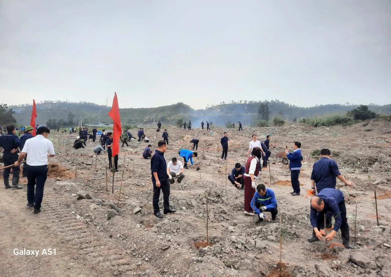 Quảng Ninh: Nhiều đơn vị, địa phương hưởng ứng “Tết trồng cây đời đời nhớ ơn Bác Hồ” Xuân Bính Ngọ 2026