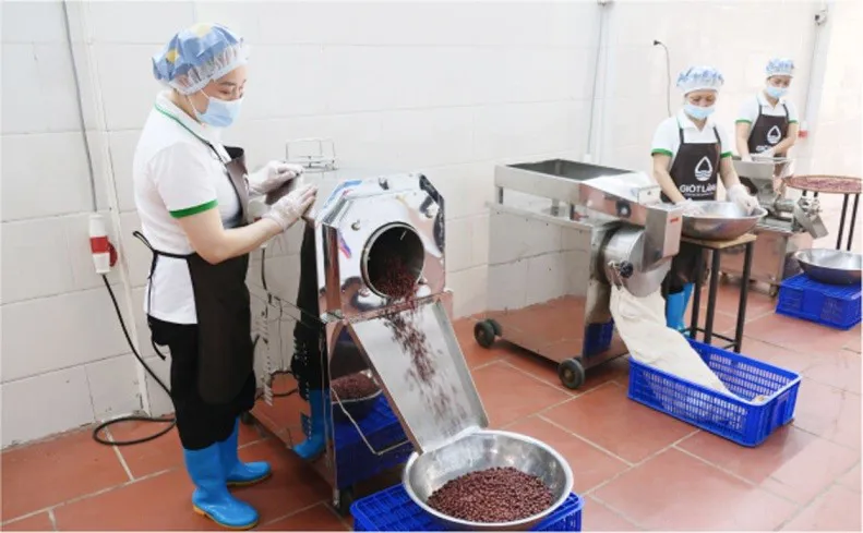 Nông nghiệp sinh thái xu hướng tiêu dùng