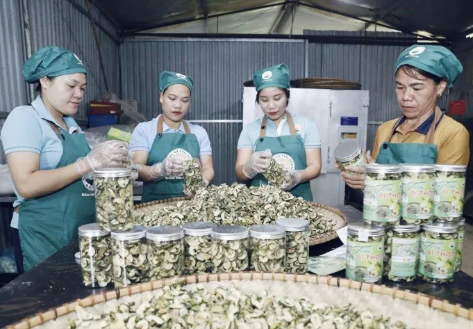 Nông nghiệp sinh thái xu hướng tiêu dùng